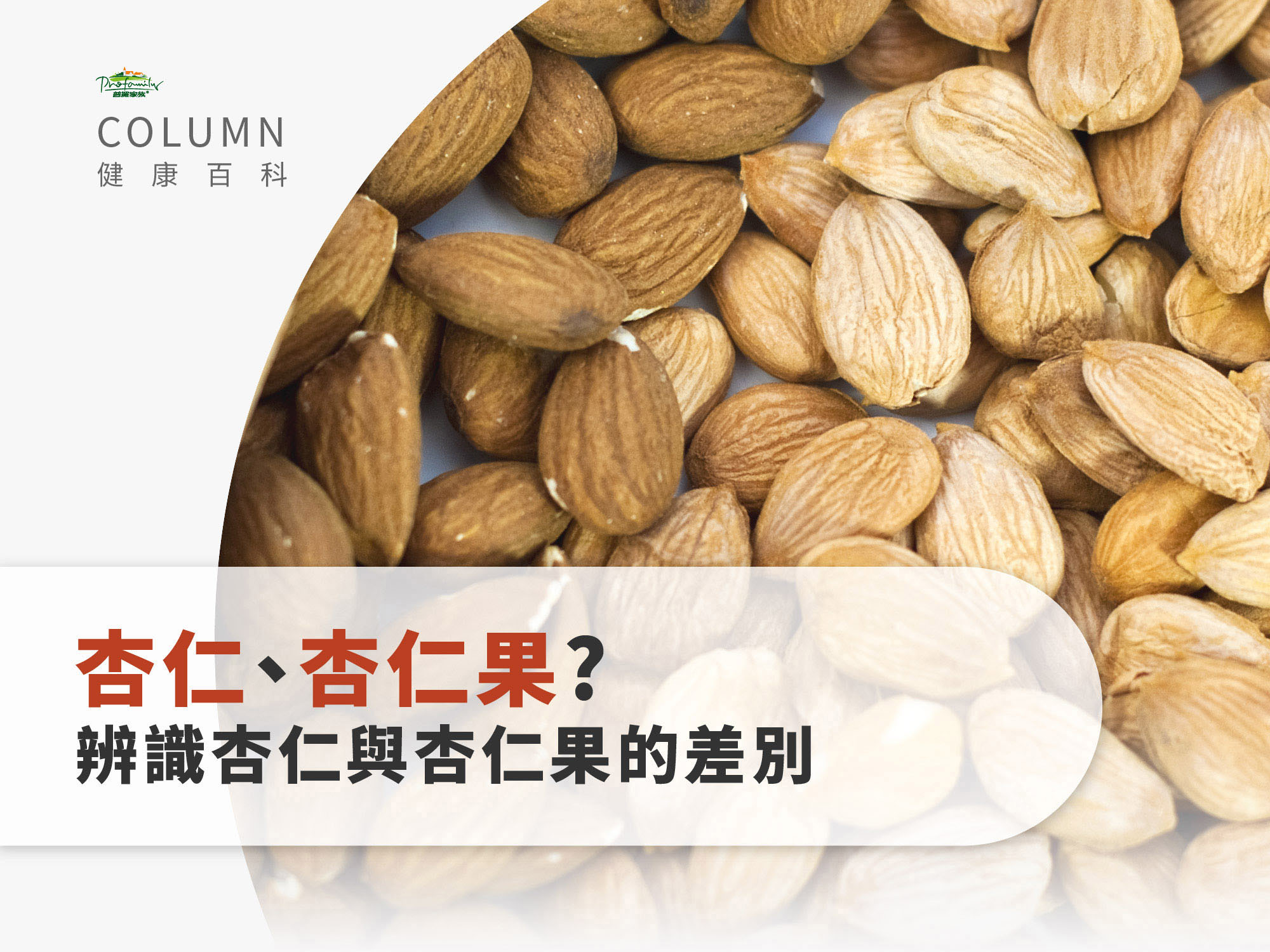 杏仁?杏仁果?傻傻分不清-辨識杏仁與杏仁果的差別 | 普羅拜爾|天然保健食品專家